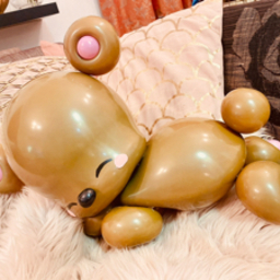 ERICKA balloons