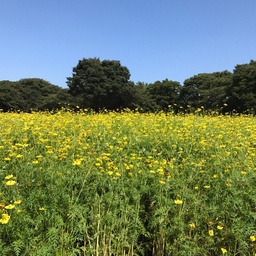 sanpo0215