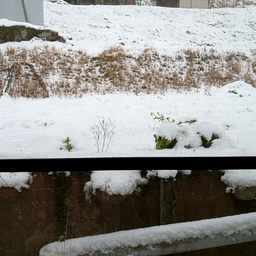 あかがわら
