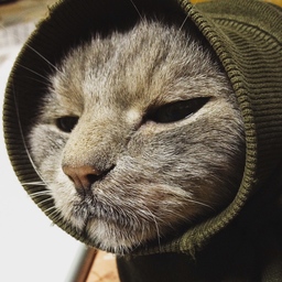 黒猫舞隊