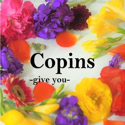 copins
