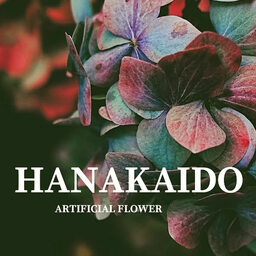 hanakaido