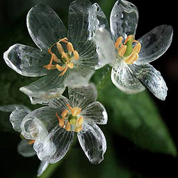 在庫確認のためコメントからお願いします。