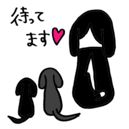 chi_take.com