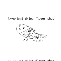kakapo