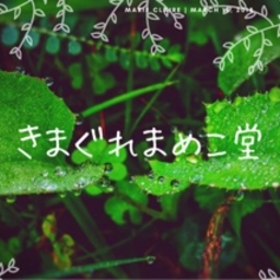 きまぐれまめこ堂