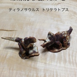 sukimarisu