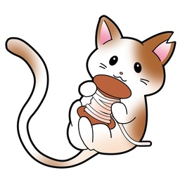 もめんいと