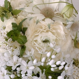 atelier Coco＆Oto