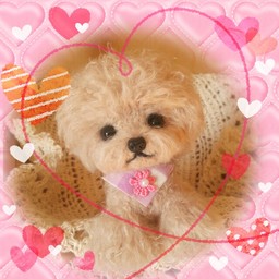 miyon