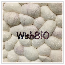 wish810