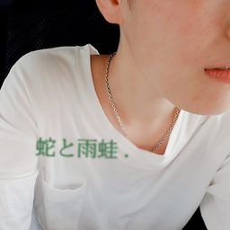 蛇と雨蛙．