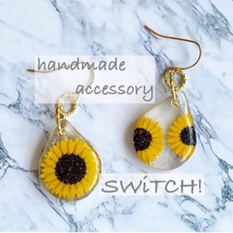 SWiTCH!/kaho