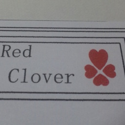 Red clover