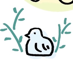 sachidesign