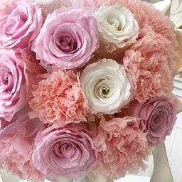 ysbloom