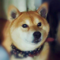 YUCYOKIPA