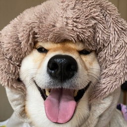 手づくり工房にこ屋