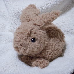 manekiusagi