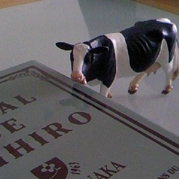 bovine