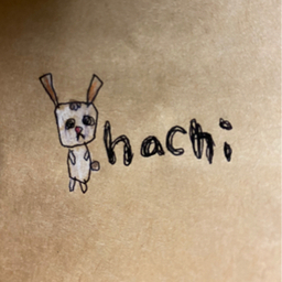 hachi47