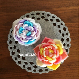 NaLuTOMO