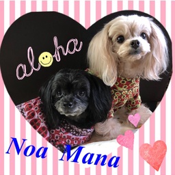 NoaMana