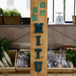 mitu501