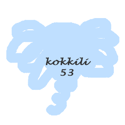 kokkili53　