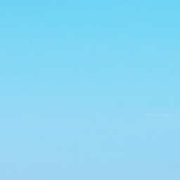 mare***