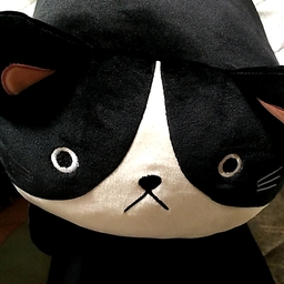 はちわれにゃん