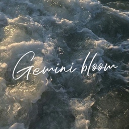 Gemini bloom