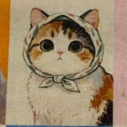 ここネコ（coconeko）