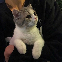 ルルちゃん