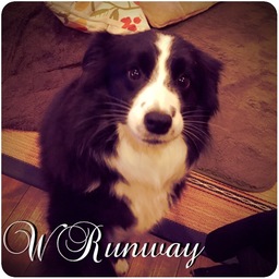wrunway