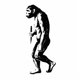 bocca-asia