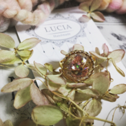 LUCIA