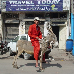 ピョンタ・ホマ―ル