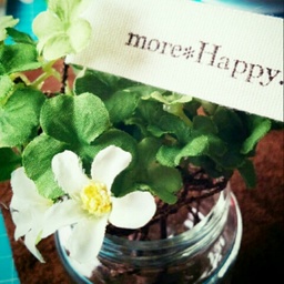 more*Happy.