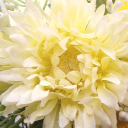 Ｒｏｍｉ♡Ｎｏｎｏ