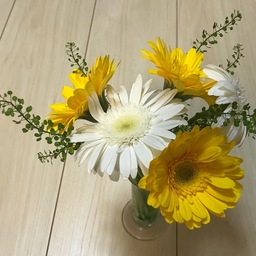 コバヤソ