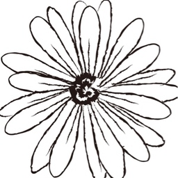 studiogerbera