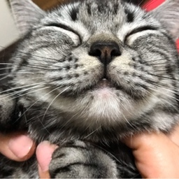 りょんきち
