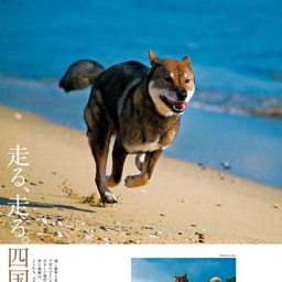 たなんめ