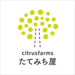 tatemichiya796