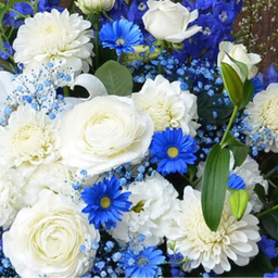 miwako＊Ranunculus