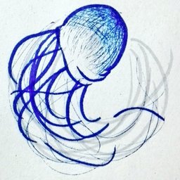 くらげ