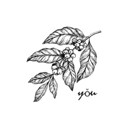 you