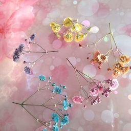 Ⅾryde♡fleur　まゆ