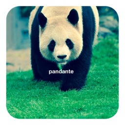 pandante